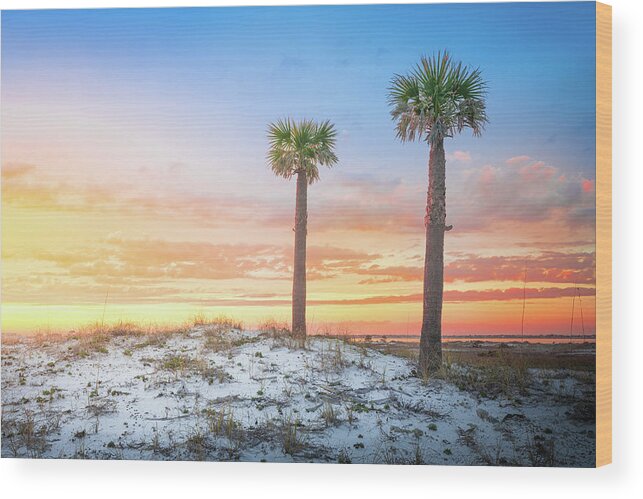 Palm Tree Wood Print featuring the photograph Two Palm Trees At Sunset Pensacola Florida by Jordan Hill