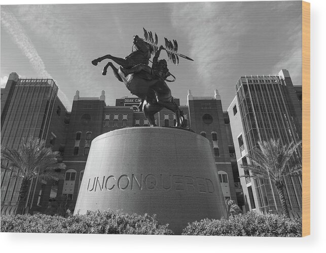 Florida State Wood Print featuring the photograph Unconquered statue in front of Doak Campbell Stadium at Florida State University in black and white by Eldon McGraw