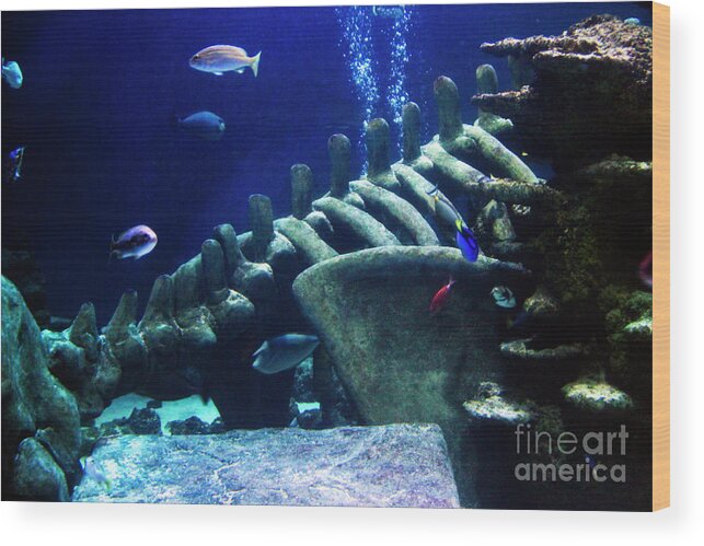 Underwater Wood Print featuring the photograph Underwater Environment - Study I by Doc Braham