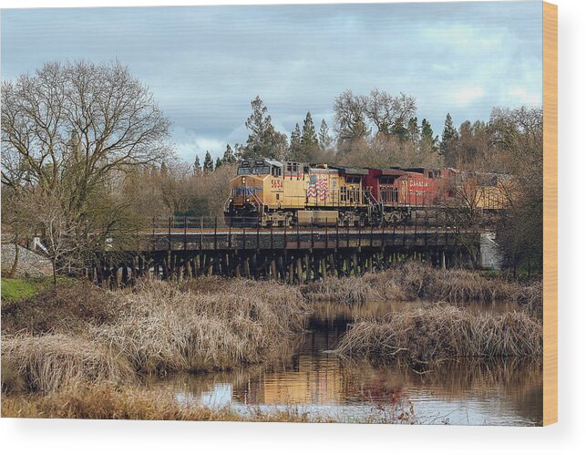 Trains Wood Print featuring the photograph Union Pacific Locomotive with Canadian Pacific by Gary Geddes