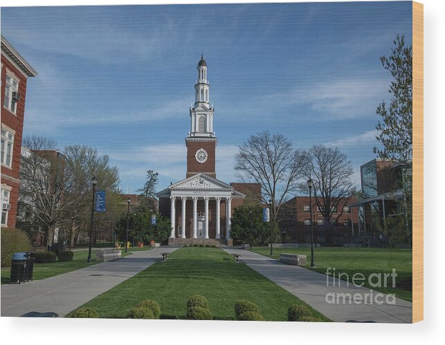 2097 Wood Print featuring the photograph University of Kentucky by FineArtRoyal Joshua Mimbs