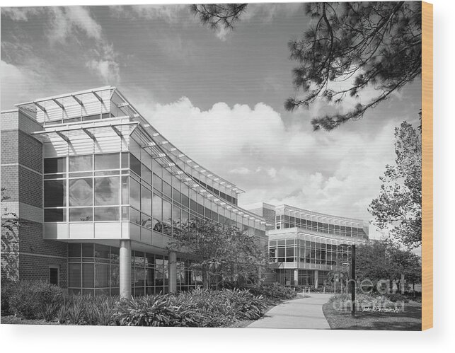 University Of North Florida Wood Print featuring the photograph University of North Florida Petway Hall by University Icons