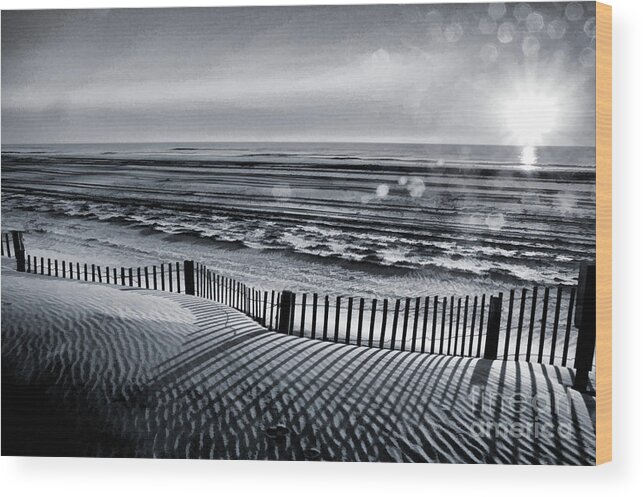 Aurora Wood Print featuring the photograph Until Then My Love - Monochrome by Robyn King