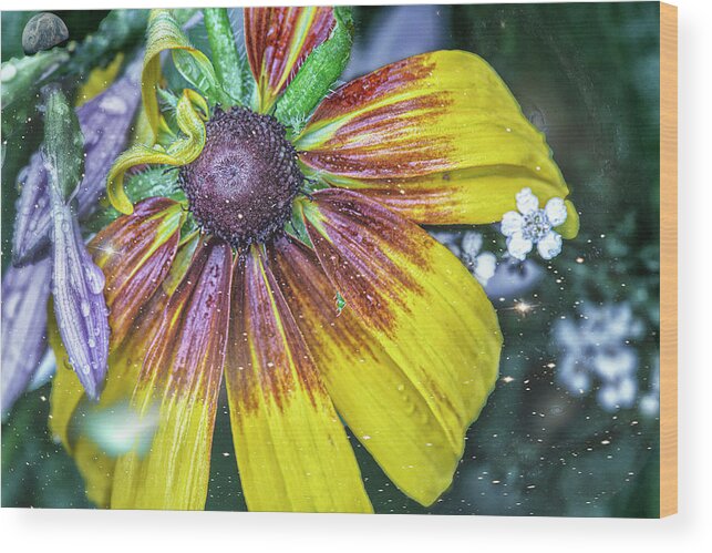 Flower Wood Print featuring the photograph Untitled_148abc by Paul Vitko