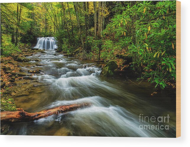 Holly River State Park Wood Print featuring the photograph Upper Falls Left Fork Holly River by Thomas R Fletcher
