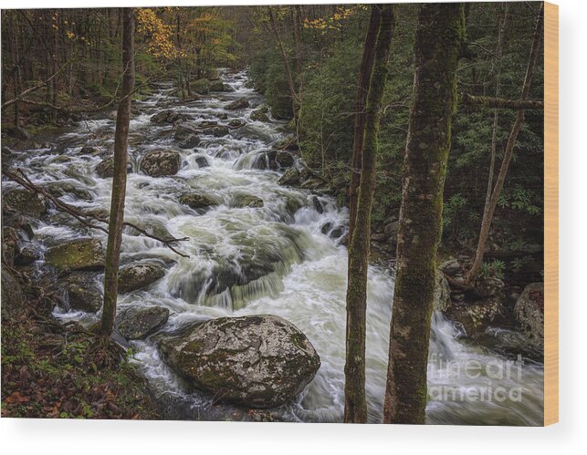 Fall Wood Print featuring the photograph Upper Tremont by Doug Sturgess