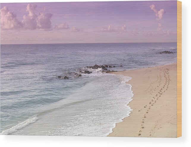 Outdoors Wood Print featuring the photograph USA, Florida, Palm Beach, sunrise over beach by John Coletti