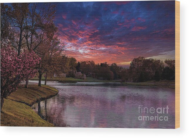 Landscape Wood Print featuring the photograph USA Landscape Beautiful by Chuck Kuhn