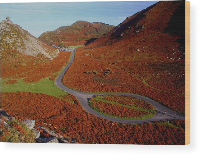 England Wood Print featuring the photograph Valley of Rocks by Andrew Turner