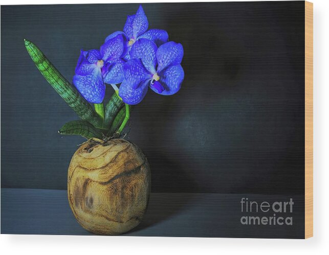 Tropical Wood Print featuring the photograph Vanda Orchid and Sansevieria Still Life by Diana Mary Sharpton