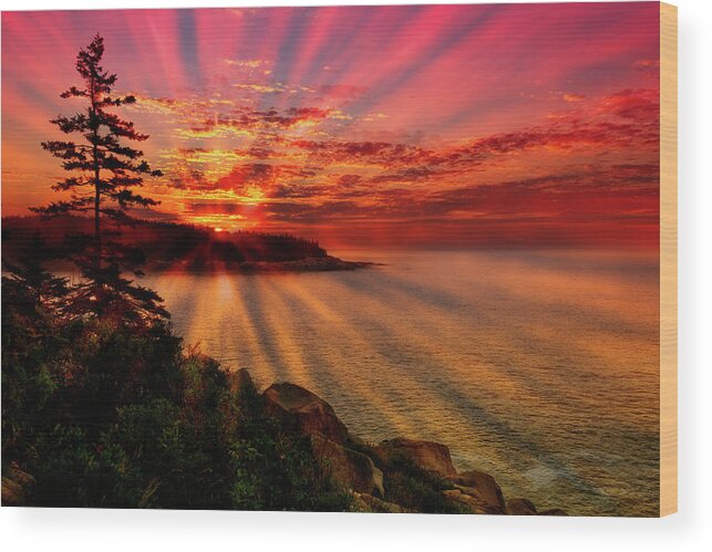 Acadia National Park Wood Print featuring the photograph Vibrant Acadia Sunrise by Dennis Dame