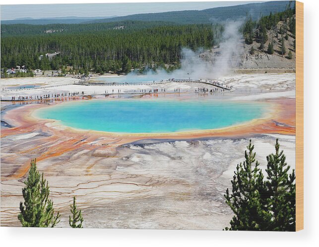 Grand Prismatic Spring Wood Print featuring the photograph View from Above Blue Sping by Marilyn Hunt