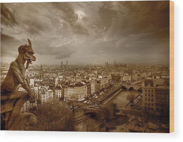 Eiffel Tower Wood Print featuring the photograph View of Paris From Notre Dame by Serge Ramelli