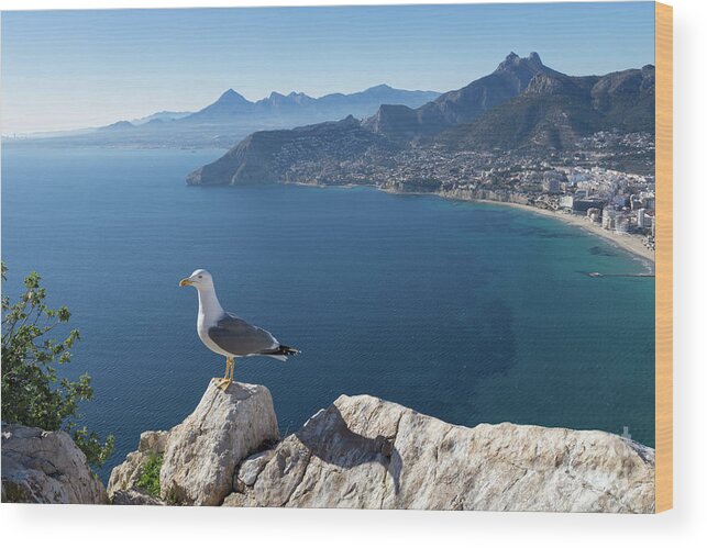 Seagull Wood Print featuring the photograph View towards the mountains of the Mediterranean coast by Adriana Mueller