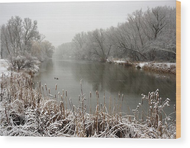 Yahara Wood Print featuring the photograph Viking Park Two-Tone - Yahara river in early winter near Stoughton WI by Peter Herman