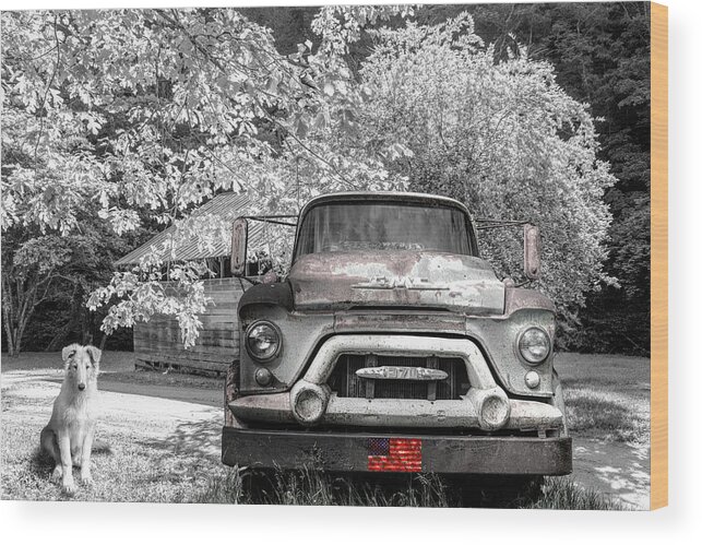 Trucks Wood Print featuring the photograph Vintage in Springtime Black and White and Red by Debra and Dave Vanderlaan