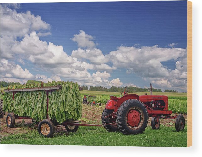 Tobacco Wood Print featuring the photograph Vintage Power, Loaded Up - Veum Tobacco Harvest Series 2 of 4 by Peter Herman