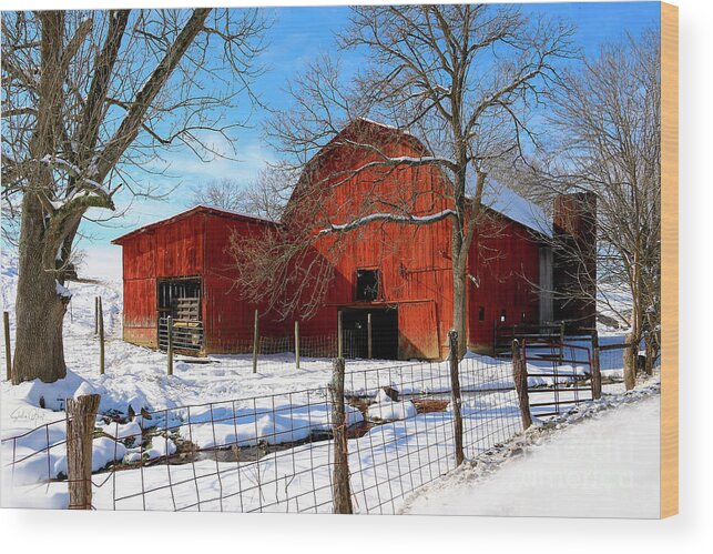 Barn Wood Print featuring the photograph Vintage Red Barn in Snow by Shelia Hunt