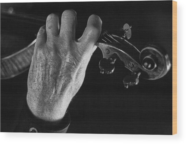 © 2020jayheifetzphotography Wood Print featuring the photograph Heifetz Left Hand by Jay Heifetz