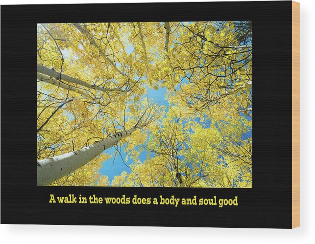 Walk Wood Print featuring the photograph Walk in the Woods Does a Body Good by James BO Insogna