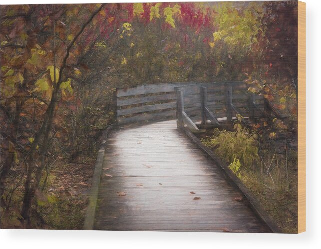 Dock Wood Print featuring the photograph Walk into Autumn Beauty Painting by Debra and Dave Vanderlaan