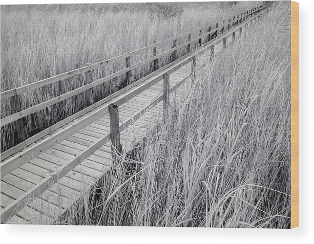 Architecture Wood Print featuring the photograph Walk Through the Marsh Infrared by Liza Eckardt