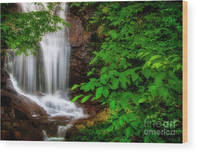 Waterfall Wood Print featuring the photograph Walker Falls by Shelia Hunt