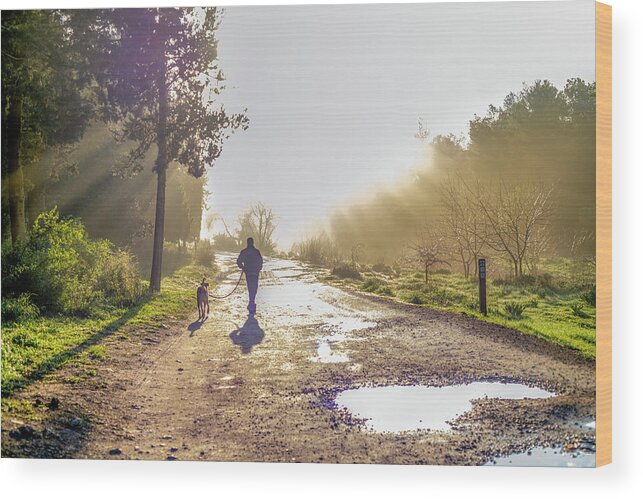 Walking Wood Print featuring the photograph Walking into the morning mist by Dubi Roman