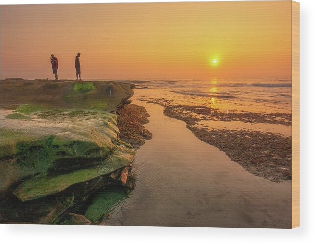 La Jolla Wood Print featuring the photograph Wandering by Laura Macky