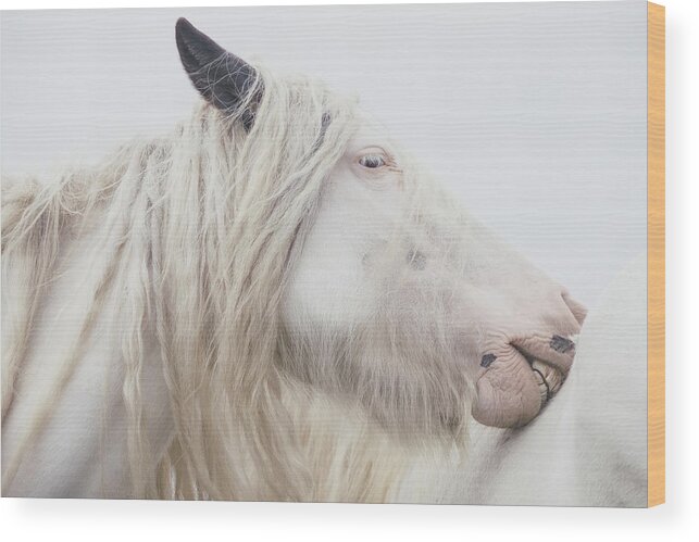 Horse Wood Print featuring the photograph Warrior Princess - Horse Art by Lisa Saint