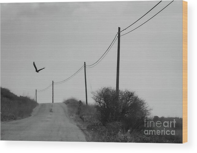 Road Wood Print featuring the photograph Was It Just A Dream? by Jeff Hubbard