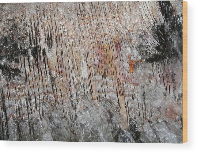 Birch Tree Wood Print featuring the photograph Water Flow Birch by Dylan Punke