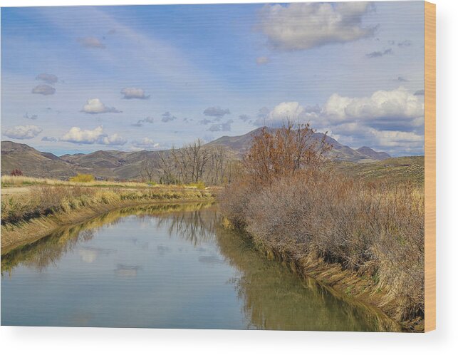 Water Wood Print featuring the photograph Water Landscape in Emmett, Idaho by Dart Humeston