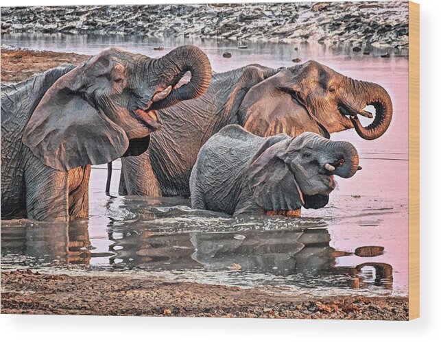 Elephant Wood Print featuring the photograph Water Like Chocolate by John Haldane