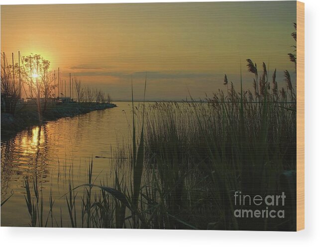 Sunrise Wood Print featuring the photograph Water Reflections by Diana Mary Sharpton