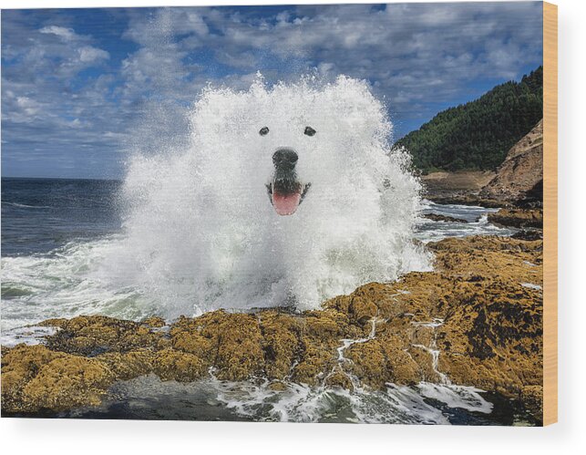 Smiling Dog Wood Print featuring the digital art Waterdog by Pelo Blanco Photo