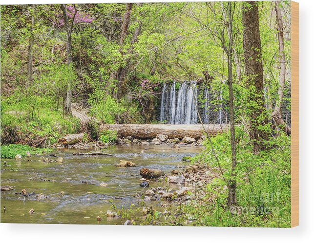 Natural Falls State Park Wood Print featuring the photograph Waterfall Along Dripping Springs Branch by Jennifer White