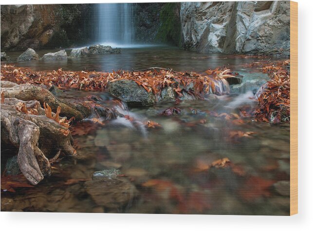 Troodos Wood Print featuring the photograph Waterfall and river flowing with maple leaves on the rocks on the river in Autumn by Michalakis Ppalis