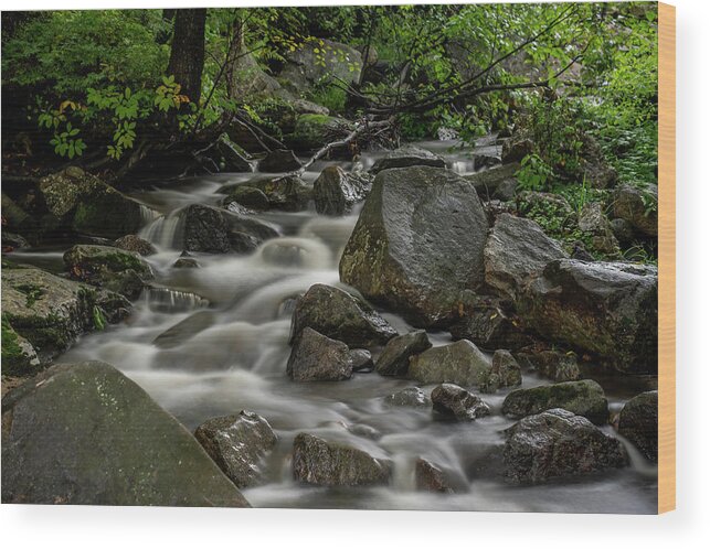 Waterfall Wood Print featuring the photograph Waterfall in the WOods by Regina Muscarella