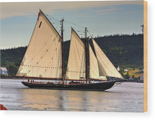 The Bluenose Ll Out Of Lunenberg Nova Scotia En Route To Digby Nova Scotia Via Petit Passage Bay Of Fundy Sea Oceans Ships Sail Land Water Clipper Wood Print featuring the photograph We are sailing by David Matthews