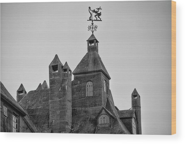 Weather Wood Print featuring the photograph Weather Vane at Mercer Museum in Doylestown Pa by Bill Cannon
