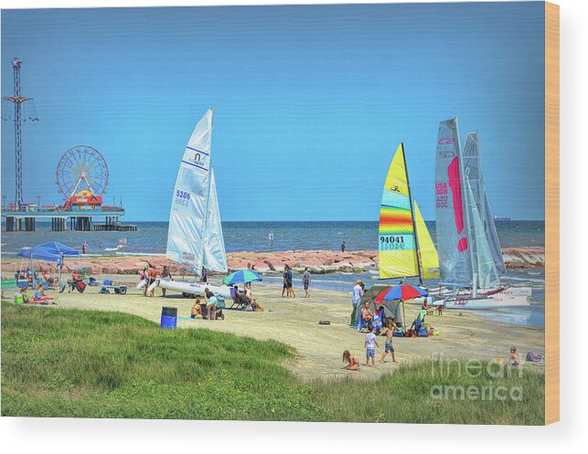 Sunny Wood Print featuring the photograph Weekend Fun by Diana Mary Sharpton