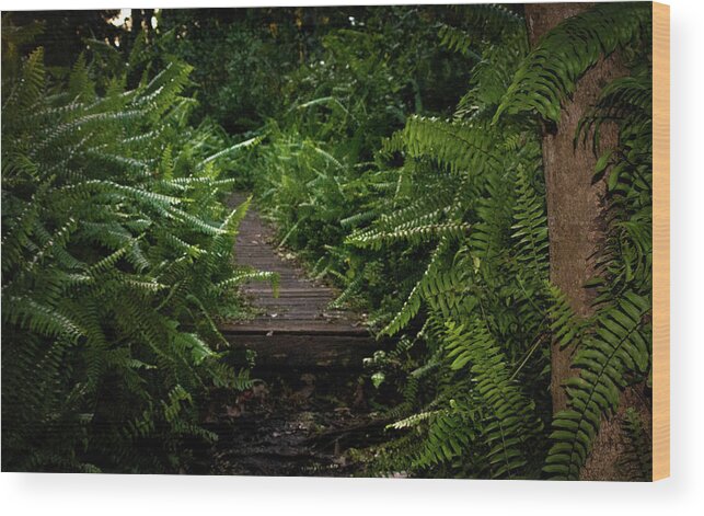 Florida Wood Print featuring the photograph Welcome to the Jungle by Vicky Edgerly