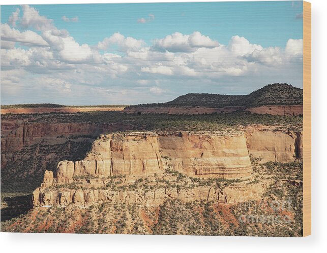 Western Wood Print featuring the photograph Western Colorado by Ana V Ramirez