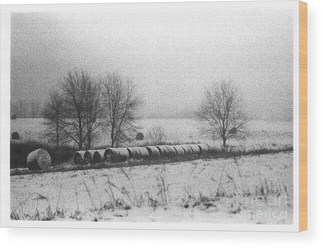 Winter Wood Print featuring the photograph WesternPAWinter01 by Mary Kobet