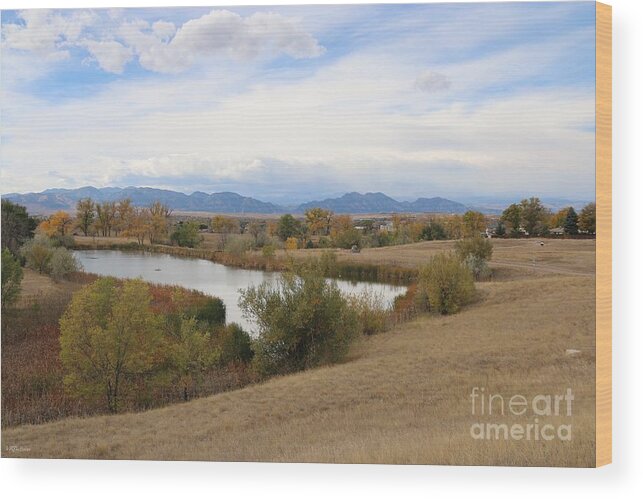 Westminster Wood Print featuring the photograph Westminster Colorado by Veronica Batterson