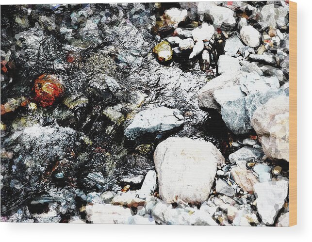 Rocks Wood Print featuring the photograph Wet Rock Dry Rock by Simone Hester