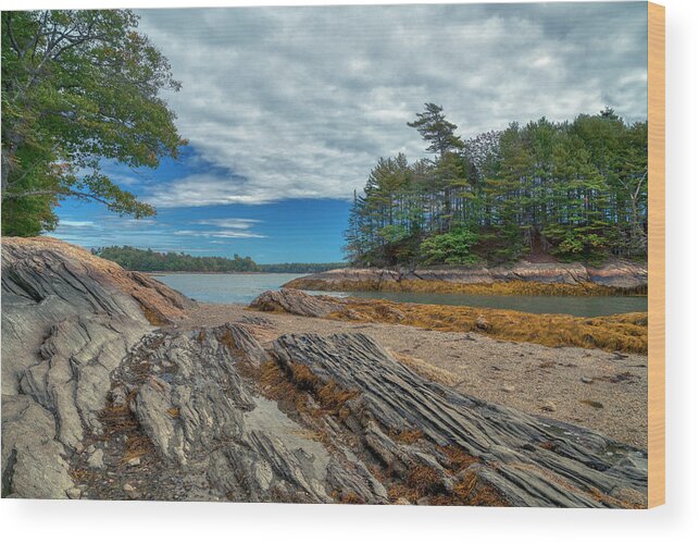 Wolfe Neck Woods State Park Wood Print featuring the photograph What a View by Penny Polakoff