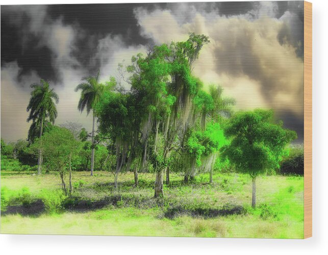 Clouds Wood Print featuring the photograph What would it be if we ever stopped the wind by Micah Offman