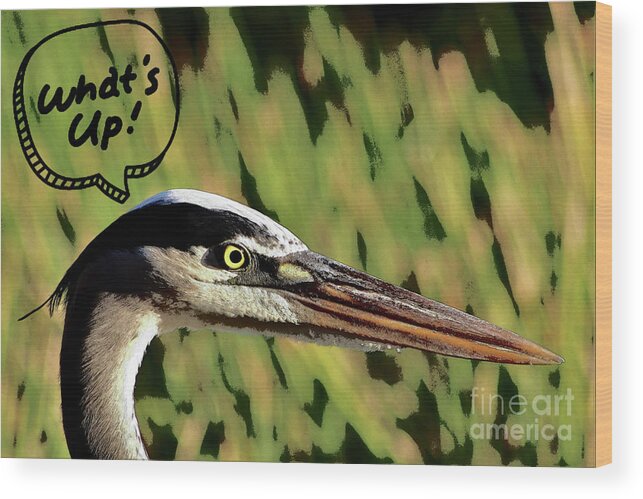 Heron Wood Print featuring the photograph What's Up? by Joanne Carey